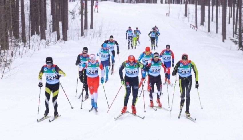 Лыжники Поморья завоевали золото и серебро очередного этапа Кубка России