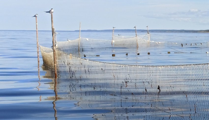 Минагропромторг продолжает работу по предоставлению рыболовных участков в долгосрочное пользование 