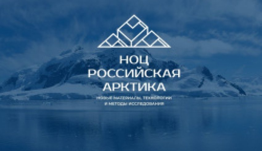 НОЦ «Российская Арктика» САФУ разработал стройматериалы из отходов нефти и древесины для Арктики