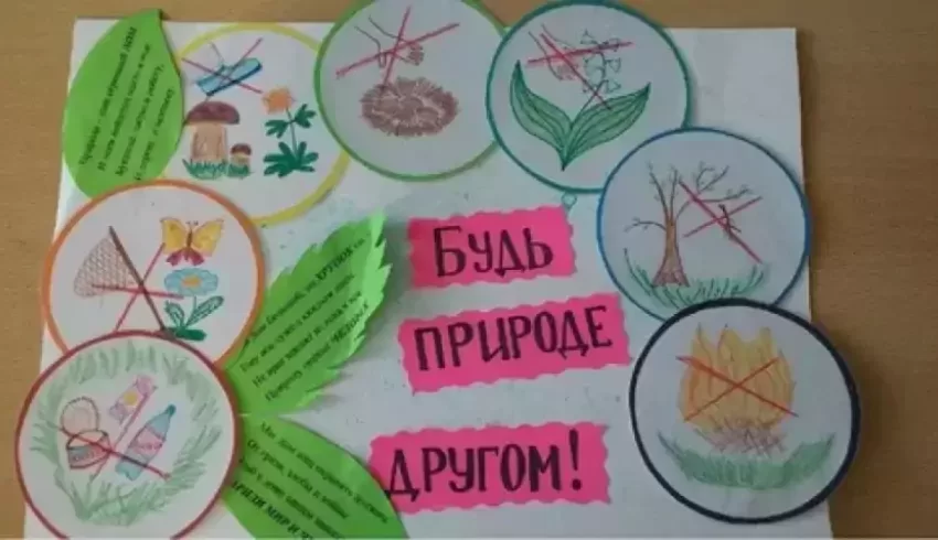 В Архангельской области представлен план мероприятий Года экологии