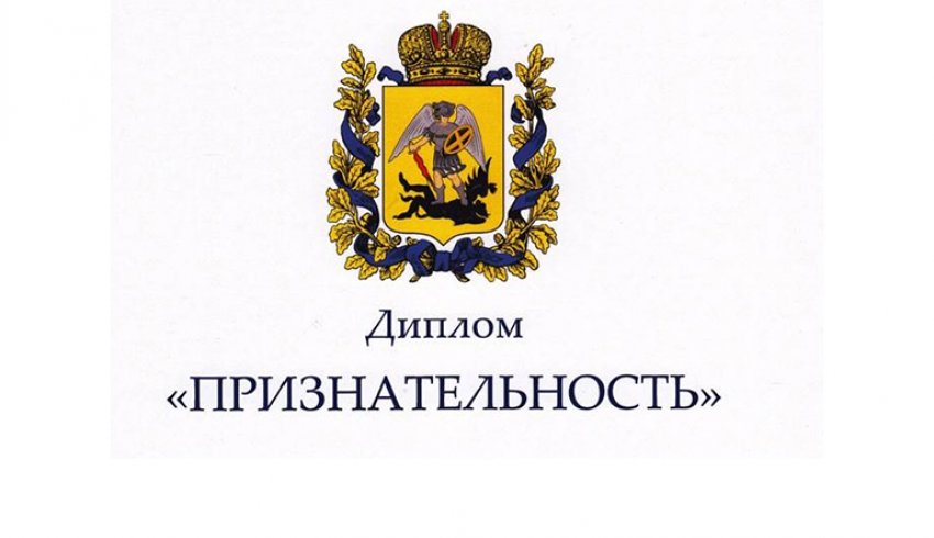 В Поморье начался прием документов для награждения многодетных семей специальным дипломом «Признательность» 