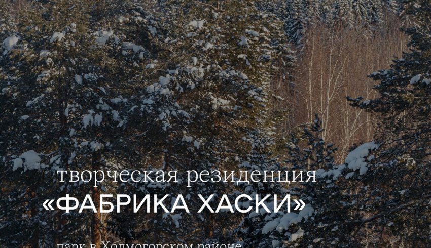Архитекторов и дизайнеров приглашают разработать концепцию парка в Архангельской области