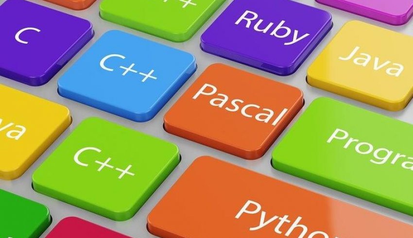 Школьники Поморья могут пройти обучение на бесплатных курсах по программированию