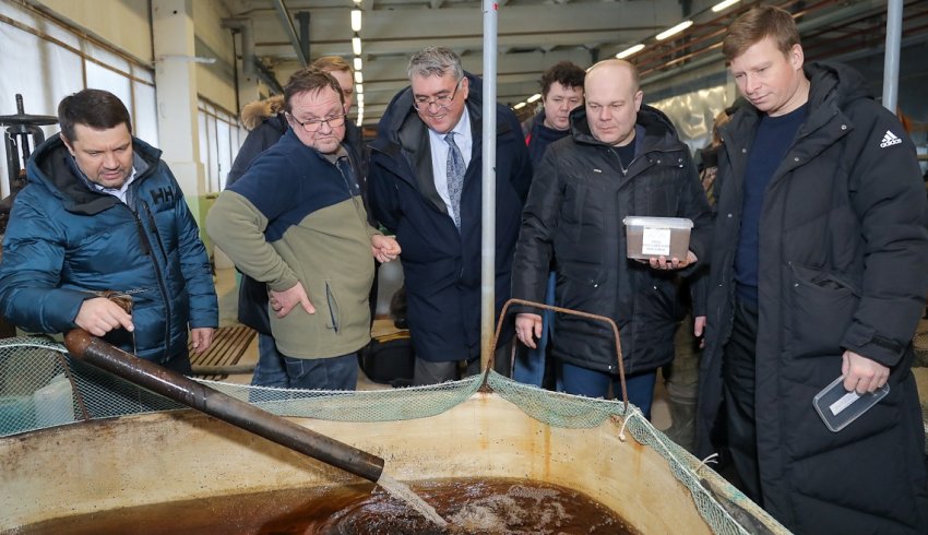 На Солзенском рыбзаводе стартуют испытания новых экспериментальных кормов
