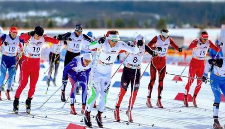«Чемпионские высоты»: звезды лыжного спорта начали тренировки в Устьянах