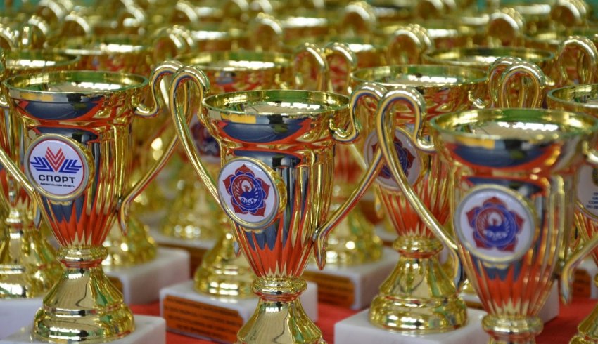 Более 70 спортсменов Поморья стали участниками областного турнира по джиу-джитсу