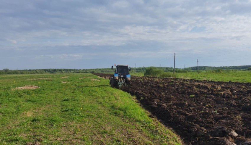 В Поморье продолжаются весенние полевые работы