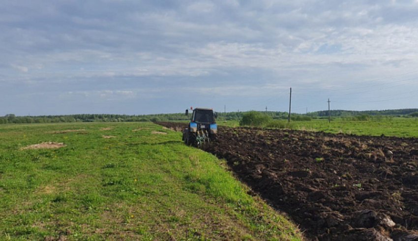 В Поморье продолжаются весенние полевые работы
