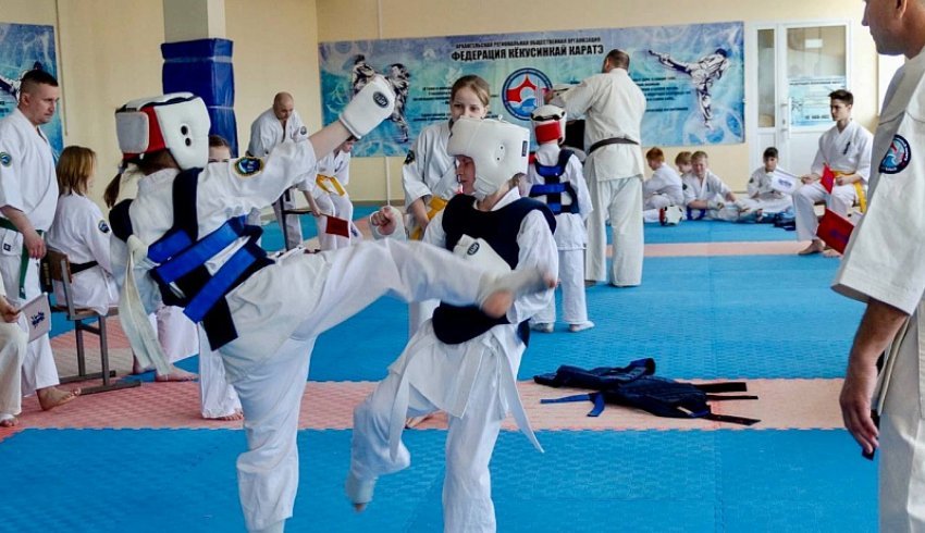 В Архангельске пройдут чемпионат и первенство Северо-Западного федерального округа по кекусинкай карате