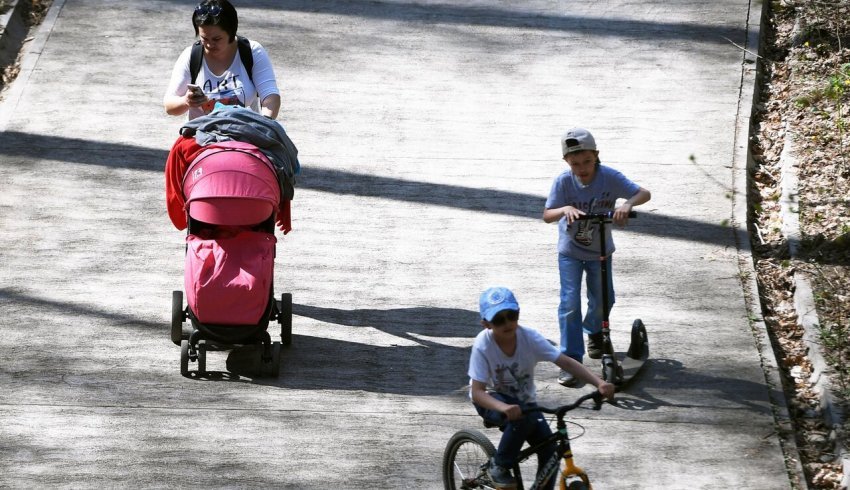 В Госдуме предложили предоставить многодетным семьям право бесплатного проезда на отдых
