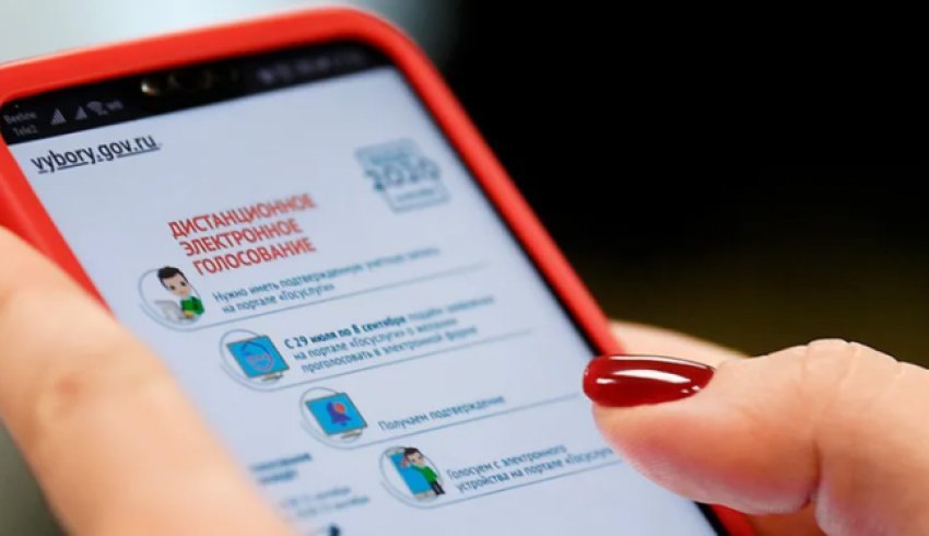 Дистанционное электронное голосование показало свою востребованность среди жителей Архангельской области