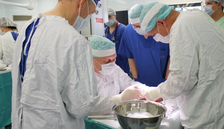 В Поморье отказывали детям в обследованиях после трансплантации органов