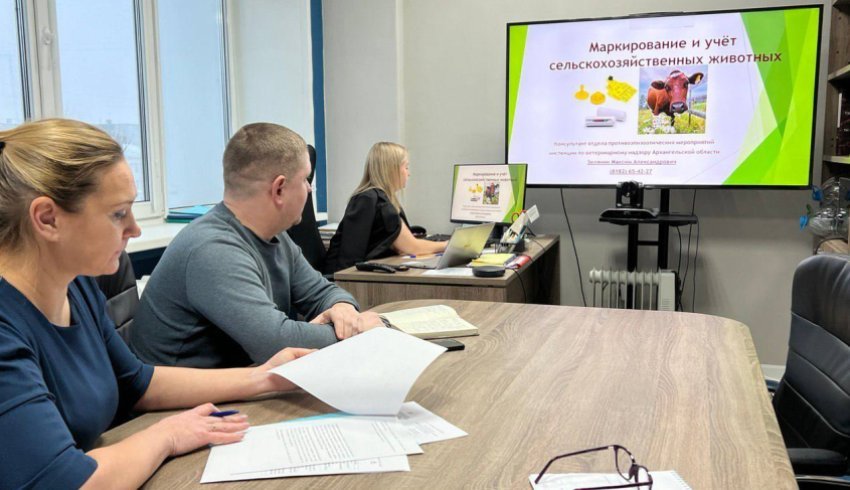 В Поморье организована серия обучающих мероприятий по учету сельхозживотных