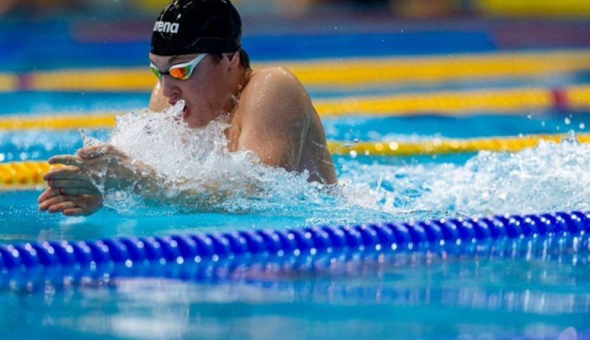 Спортсмены Поморья завоевали 71 медаль на Чемпионате по плаванию