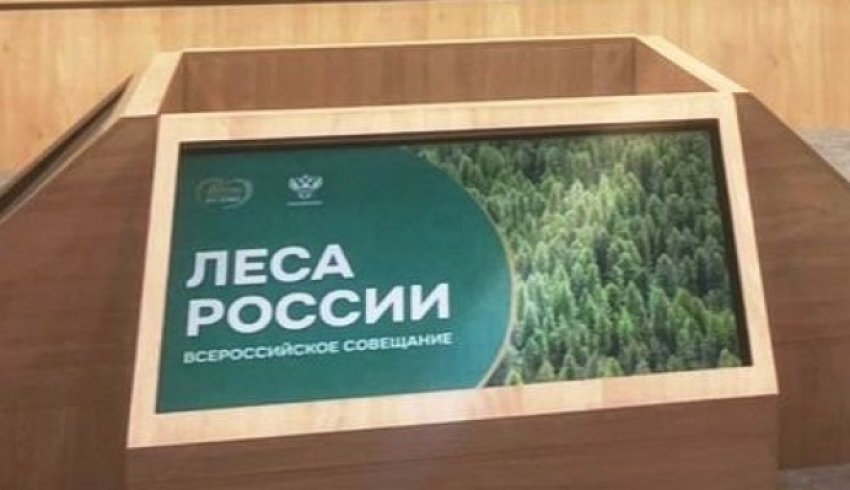 К концу года актуальность лесоустройства в Архангельской области будет достигать 93 процента