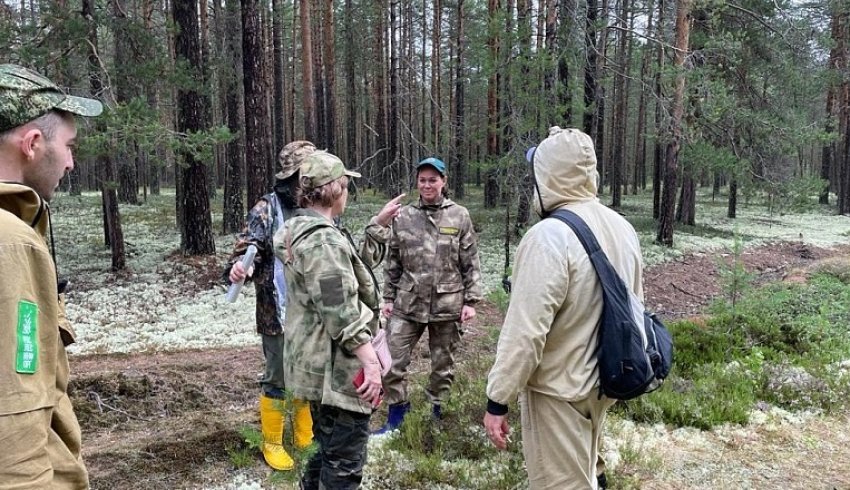 Опыт Архангельской области будут перенимать все лесные регионы страны