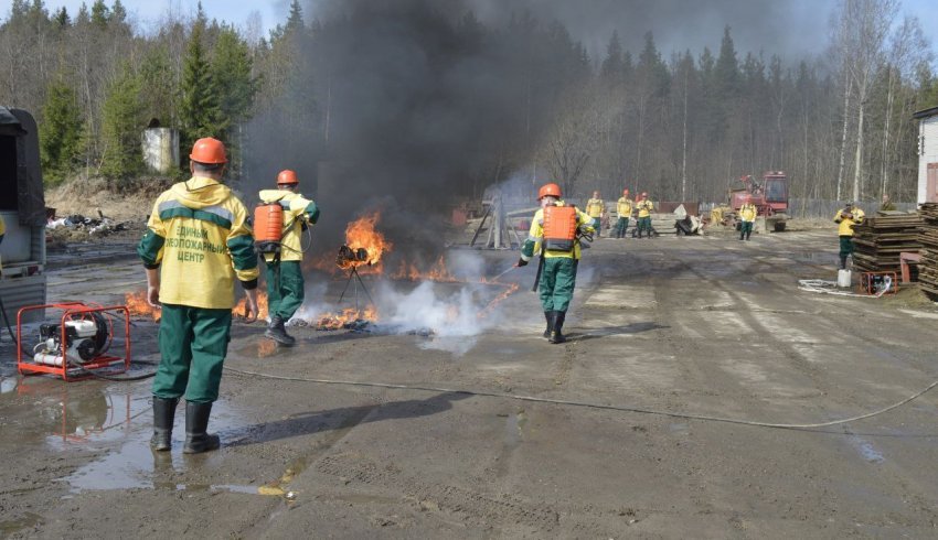 В правительстве Архангельской области обсудили готовность сил и средств к борьбе с лесными пожарами
