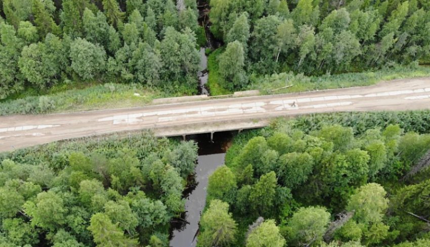 В Холмогорском и Плесецком округах начались работы на трёх объектах региональной сети в рамках национального проекта «Безопасные качественные дороги».