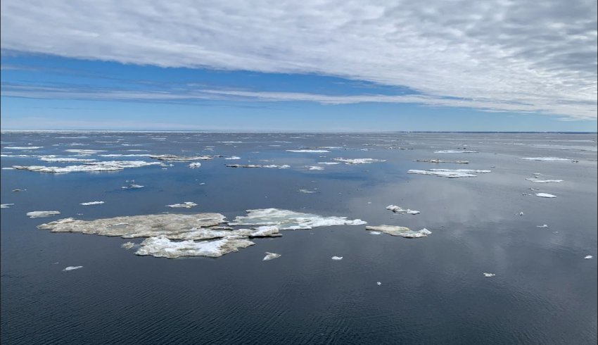 Арктический плавучий университет взял курс на север из-за ледовых полей