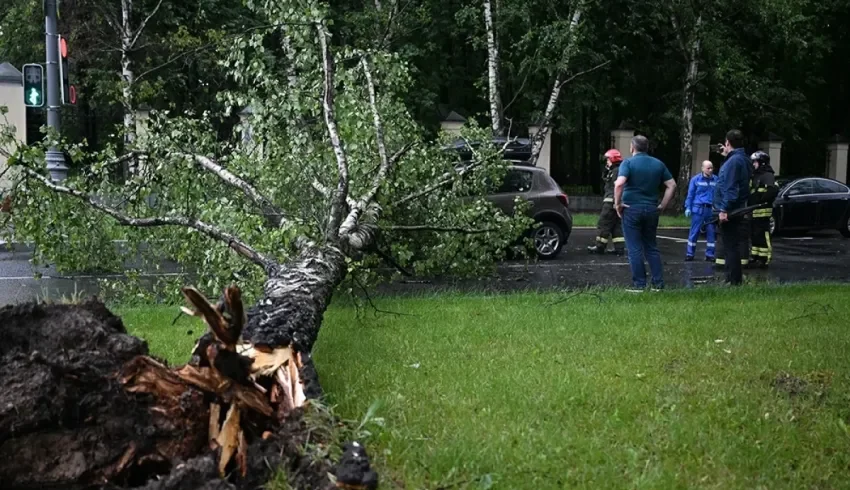 В Архангельске устраняют последствия урагана