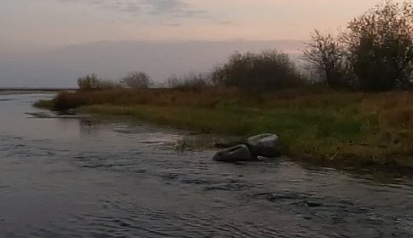 В ЕГРН внесены сведения об особо охраняемых природных территориях Каргопольского округа