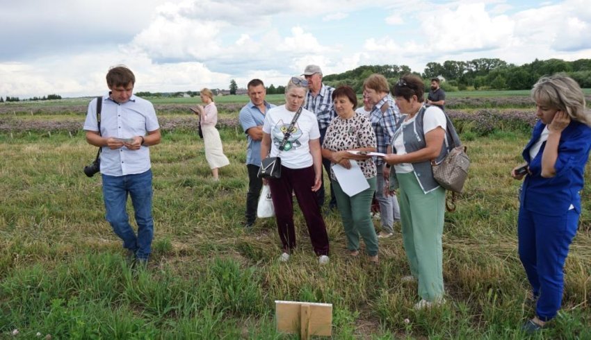 Аграрной науке на Котласской земле 100 лет