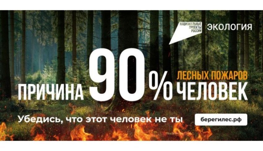 Министерство лесного хозяйства и промышленности напоминает: лес нужно беречь!