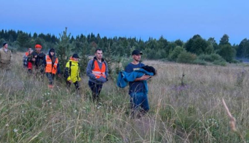 Пропавшую в Архангельской области двухлетнюю малышку нашли на болоте