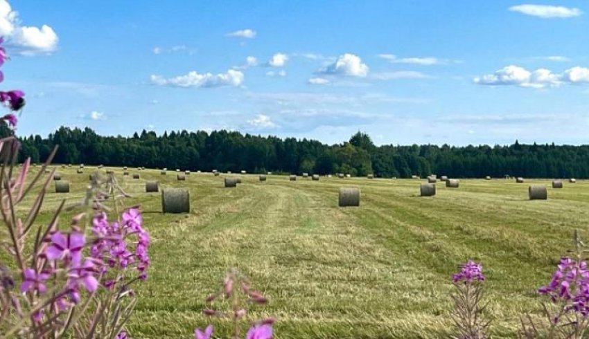 Журналистов, авторов и блогеров Поморья приглашают на конкурс «Моя Земля – Россия»