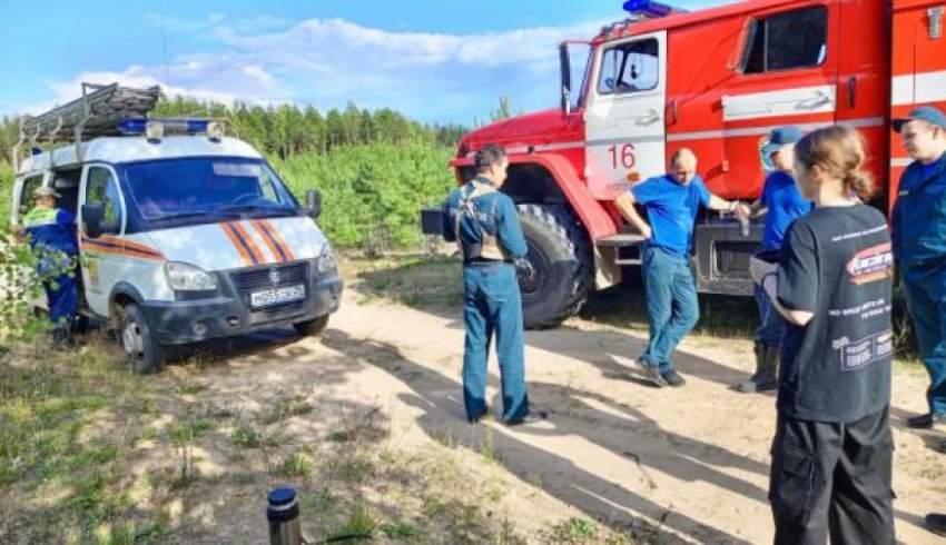 В лесу Поморья потерялась девочка: на ее поиски выезжали сотрудники МЧС и спасатели