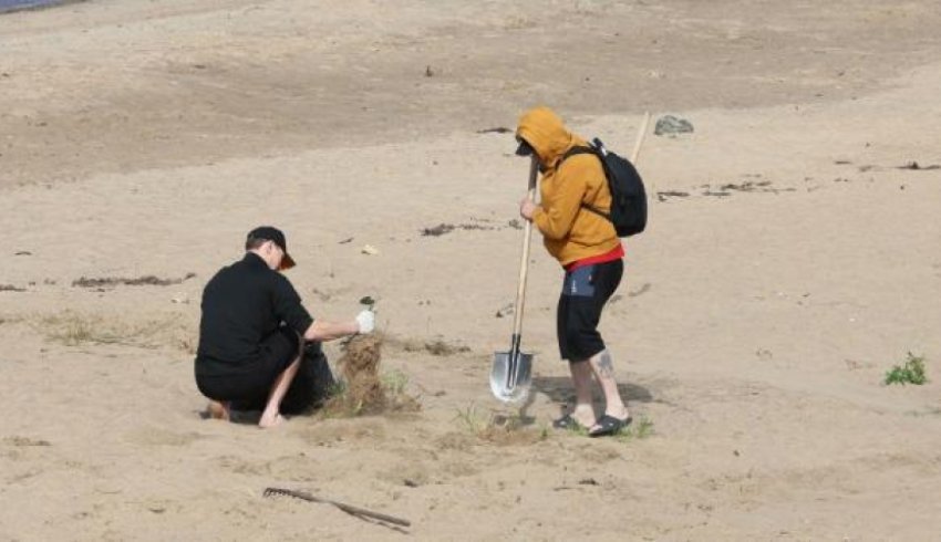 Архангельских осужденных привлекли к уборке пляжа в столице Поморья 