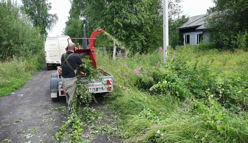 Кусты вырублены, скоро будут участки