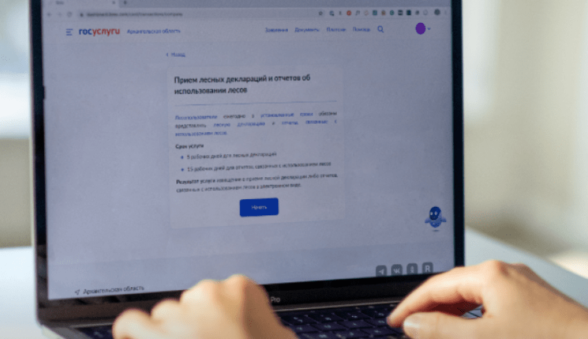 В Поморье лесные госуслуги доступны через отраслевую информационную систему