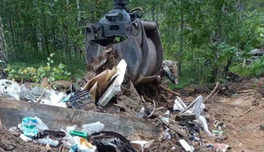 В Архангельской области проводятся работы по устранению несанкционированных лесных свалок