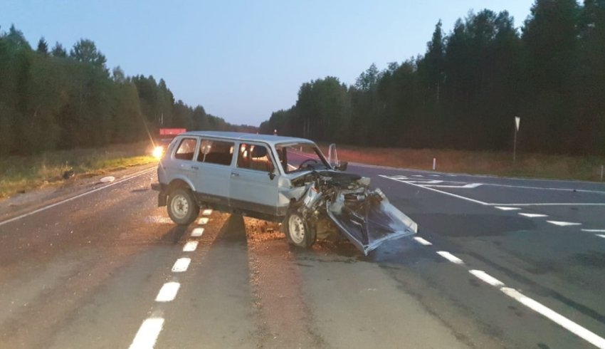 В Шенкурском округе произошло дорожно-транспортное происшествие при подъезде к селу Ровдино