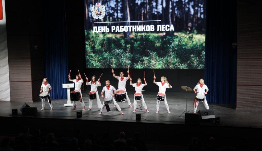 В канун профессионального праздника в Архангельске отметили лучших представителей лесной отрасли