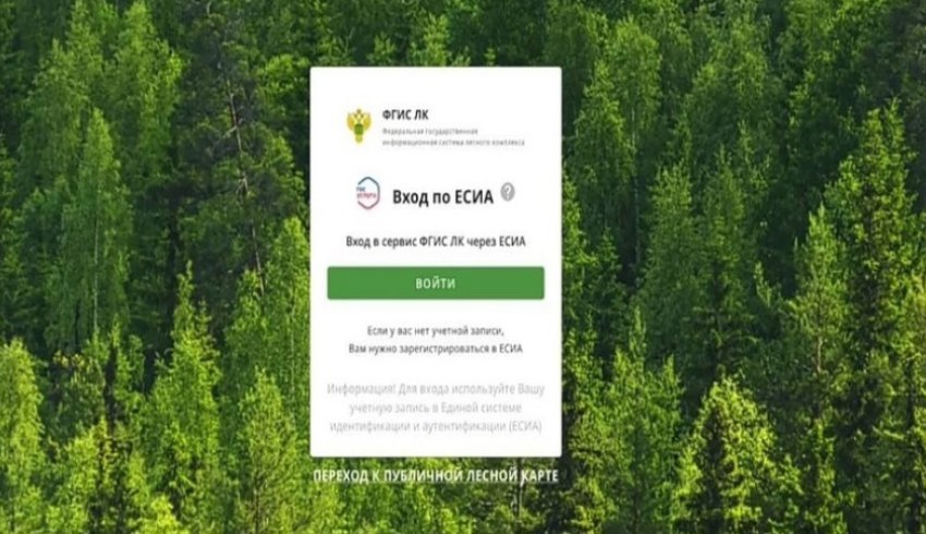 Минлеспром Поморья приступает к тестированию информационной системы лесного комплекса