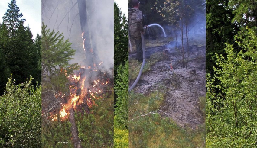 В «Онежском Поморье» — два пожара за сутки