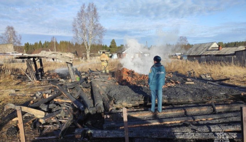 В Коношском районе на пожаре погибли два человека