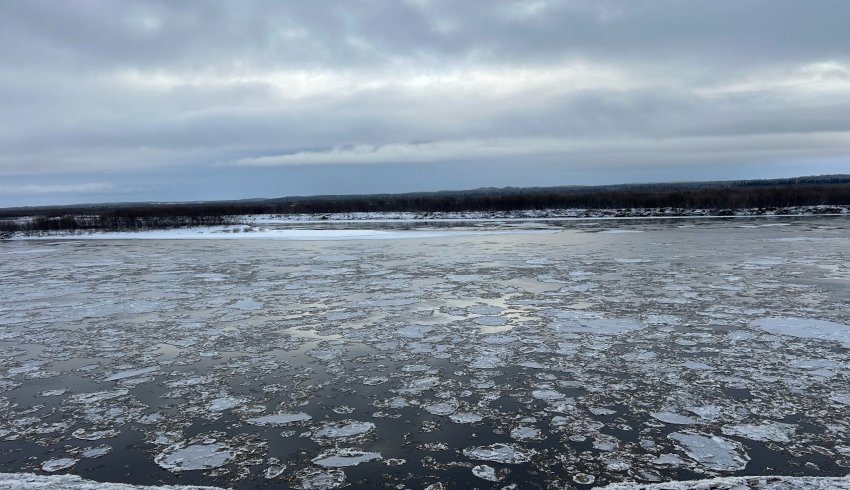 У нас будут наплавные мосты?