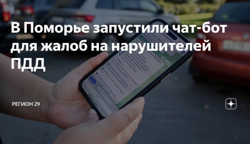 Сообщить о нарушителях ПДД можно через чат-бот «Безопасное Поморье»