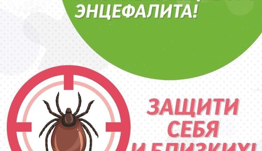 ГБУЗ АО "Онежская ЦРБ" напоминает о вакцинации против клещевого энцефалита