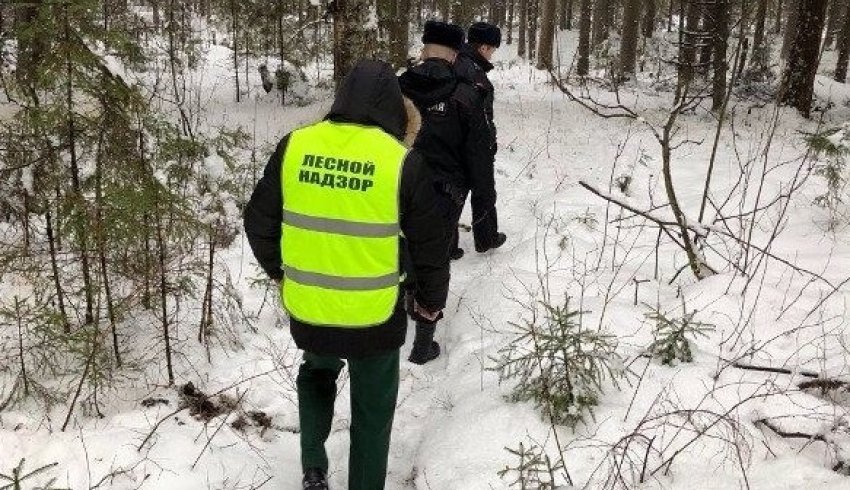 В Архангельской области в декабре усилено патрулирование лесов