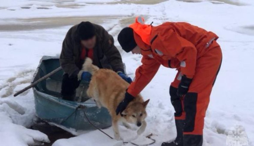 Под Архангельском пенсионер едва не утонул в ледяной воде, спасая своего пса