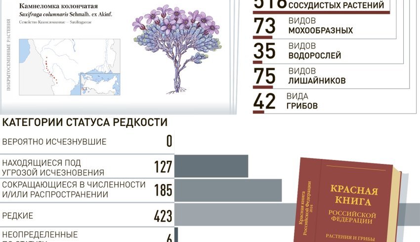 Вышел новый том Красной книги России