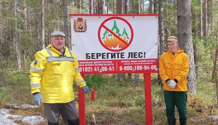 Более четырех тысяч мероприятий по профилактике лесных пожаров проведено в Поморье в 2024 году