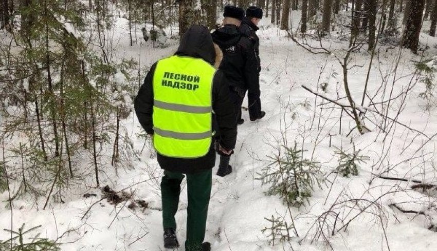 В предновогодние дни патрулирование в лесах Архангельской области будет усилено