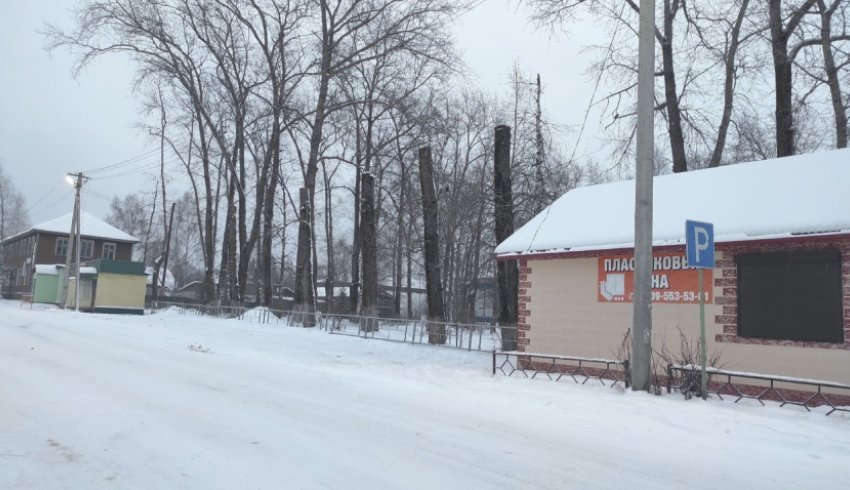 В Шенкурске минувшей осенью впервые проводилась процедура по спилу, обрезке и кронированию деревьев