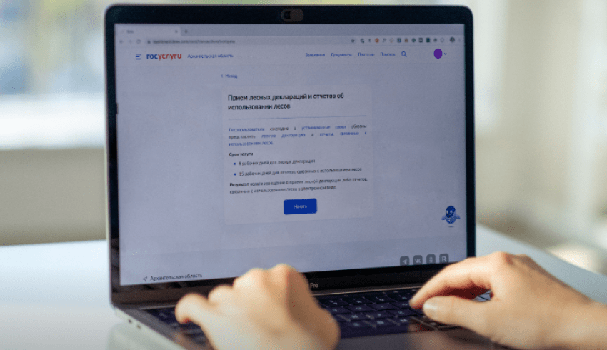 Архангельская область входит в число лидеров среди регионов по предоставлению лесных услуг в электронной форме
