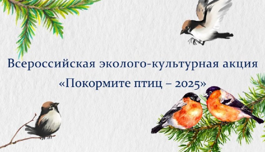 В Архангельской области стартовала ежегодная эколого-культурная акция «Покормите птиц»